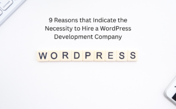 9 Reasons that Indicate the Necessity to Hire a WordPress Development Company
